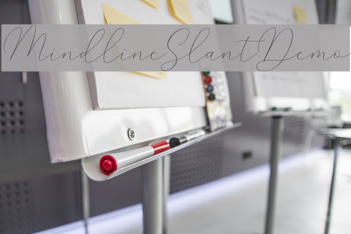 MindlineSlantDemo Font examples