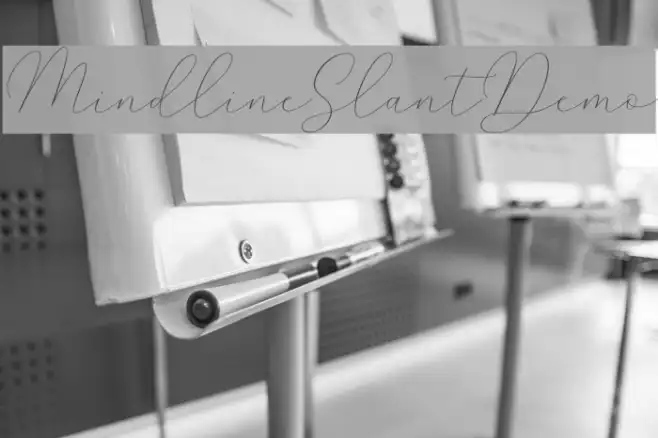 MindlineSlantDemo Example 1