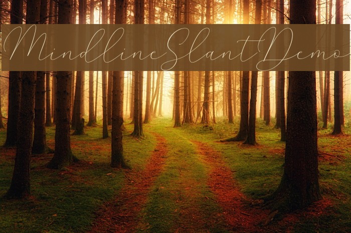 MindlineSlantDemo Font examples