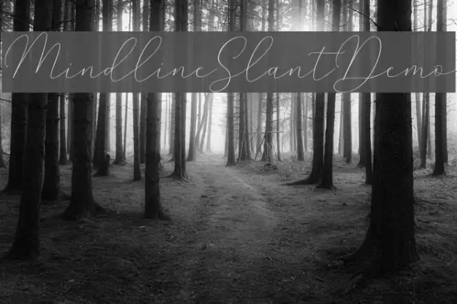 MindlineSlantDemo Example 2