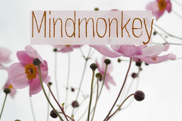 Mindmonkey Font examples