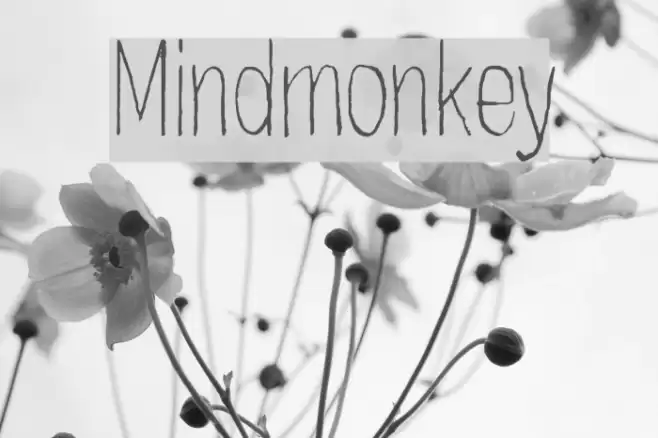Mindmonkey Font examples