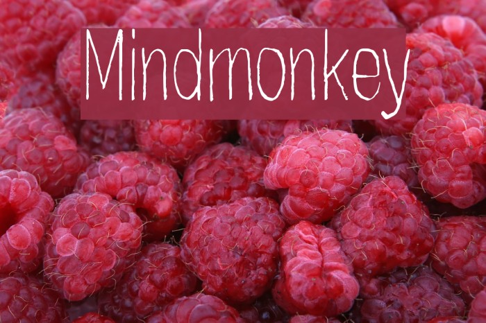Mindmonkey Font examples