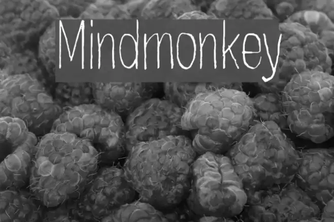 Mindmonkey Font examples
