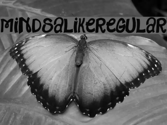 MindsAlike-Regular Font examples