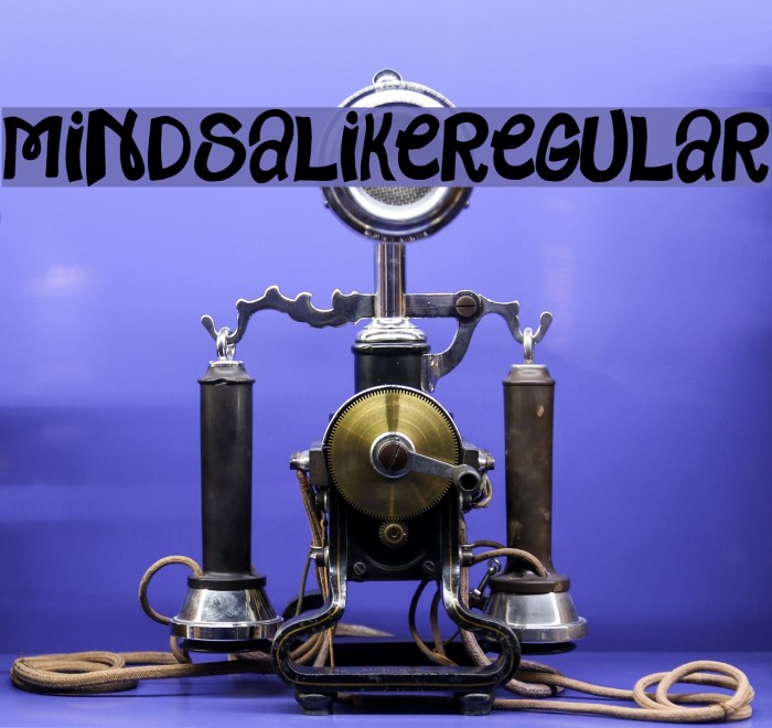 MindsAlike-Regular Example 2