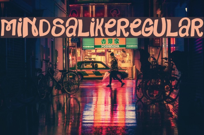 MindsAlike-Regular Example 3