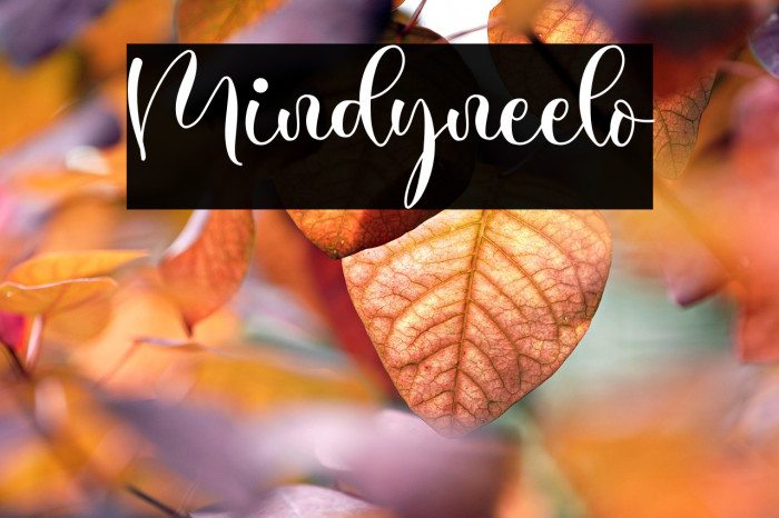 Mindyneelo Example 2