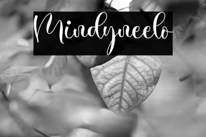 Mindyneelo Font examples