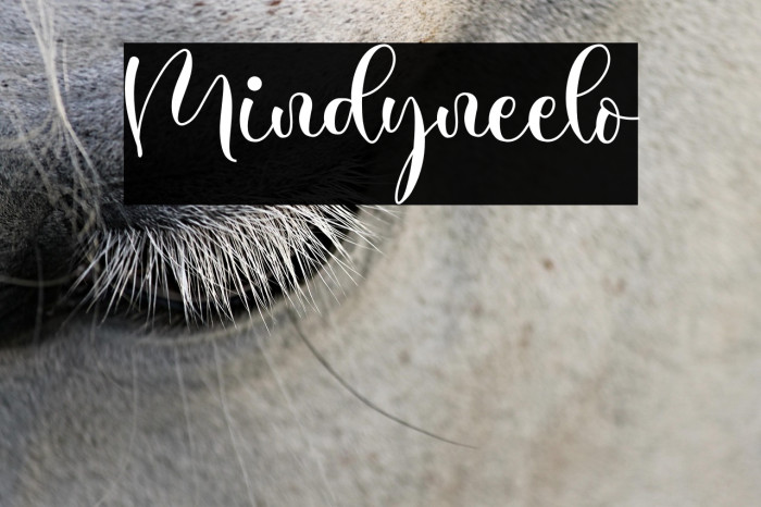 Mindyneelo Example 3