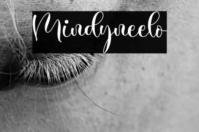 Mindyneelo Font examples