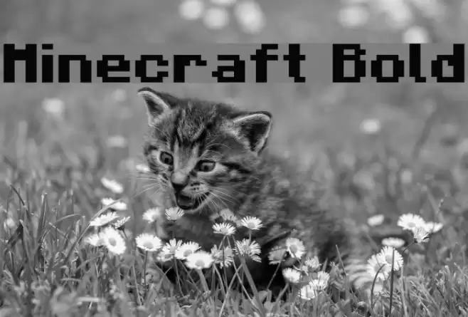 Minecraft Bold Font examples