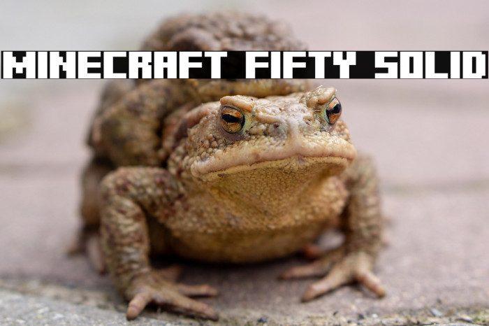 Minecraft Fifty Solid Example 2