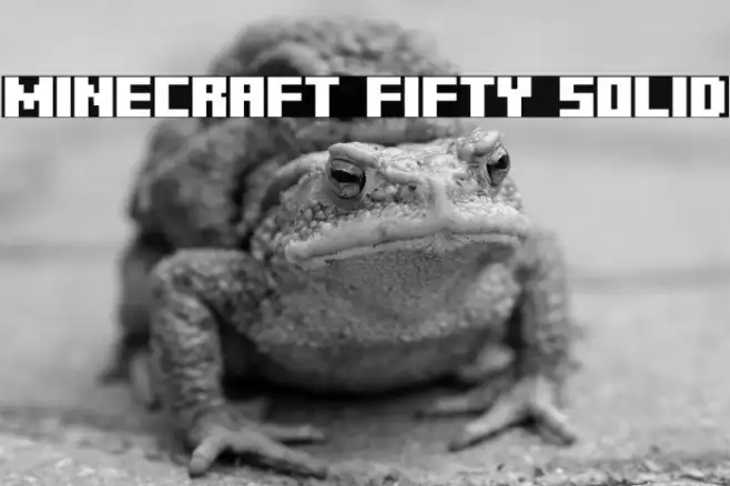 Minecraft Fifty Solid Example 2