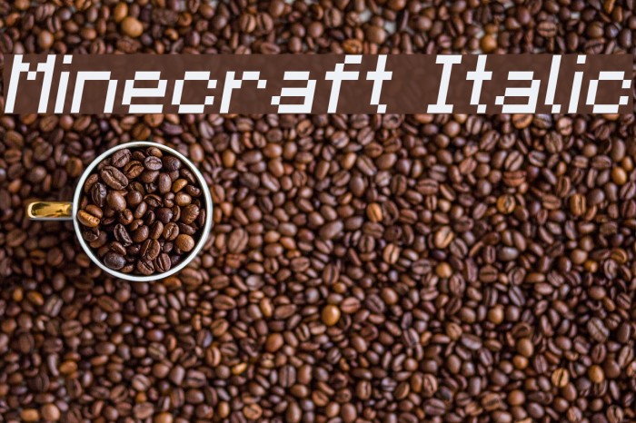 Minecraft Italic Font examples