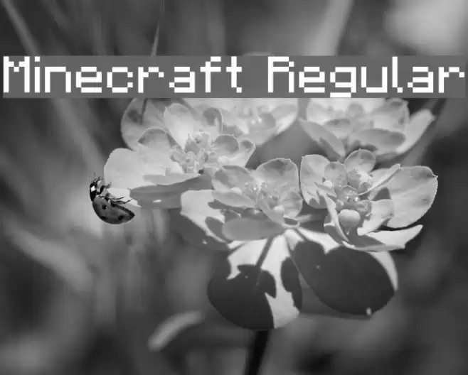 Minecraft Regular خط examples