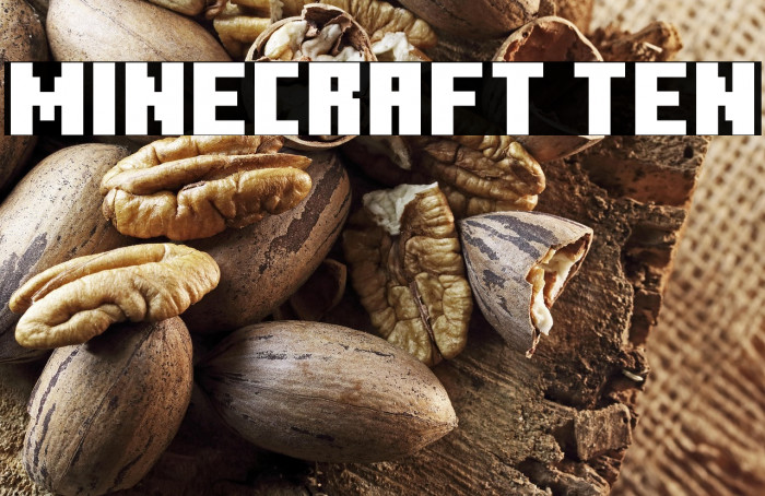 Minecraft Ten Example 1