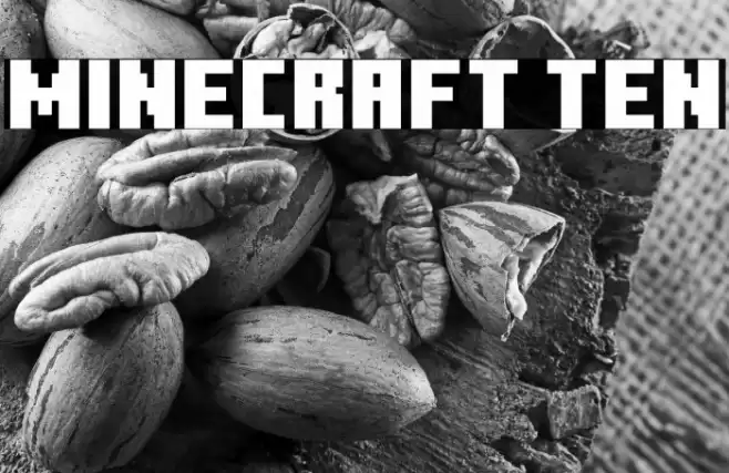 Minecraft Ten Fonte examples