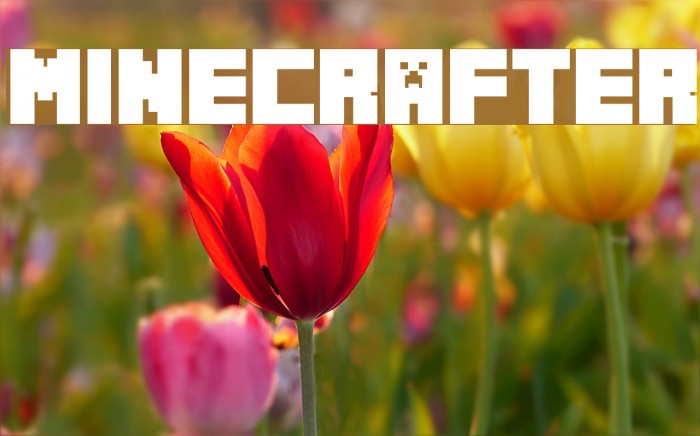 Minecrafter Font examples