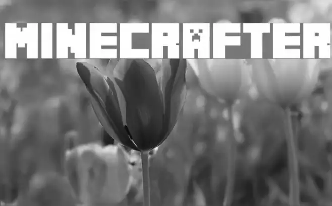 Minecrafter Example 1