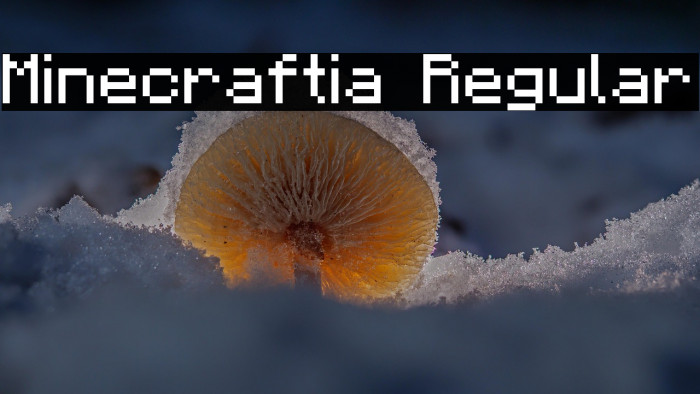 Minecraftia Regular Example 1