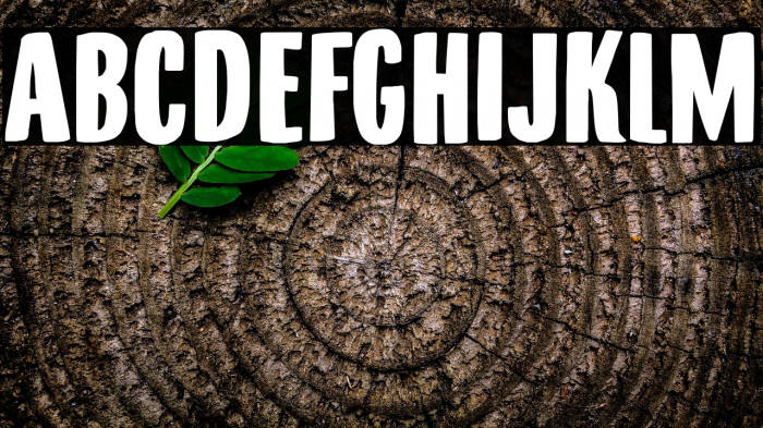 Minehead DEMO Regular Example 1