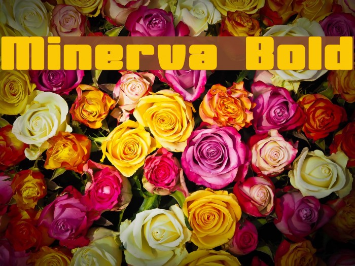 Minerva Bold Font examples