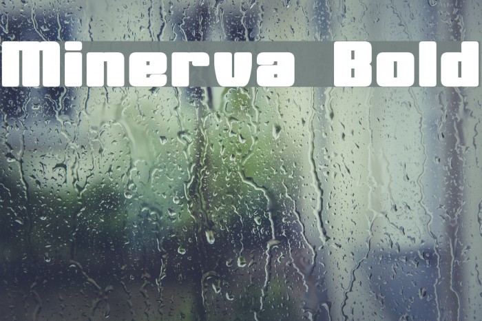 Minerva Bold Font examples