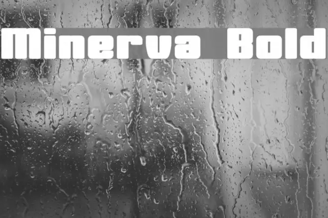 Minerva Bold Example 2