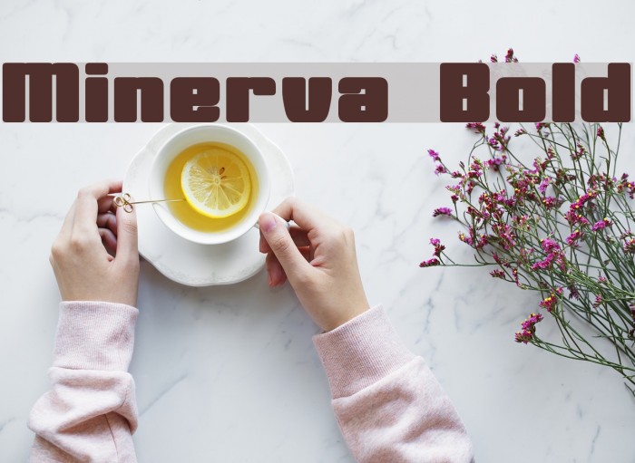minerva modern typeface review