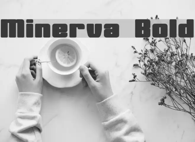 Minerva Bold Example 3