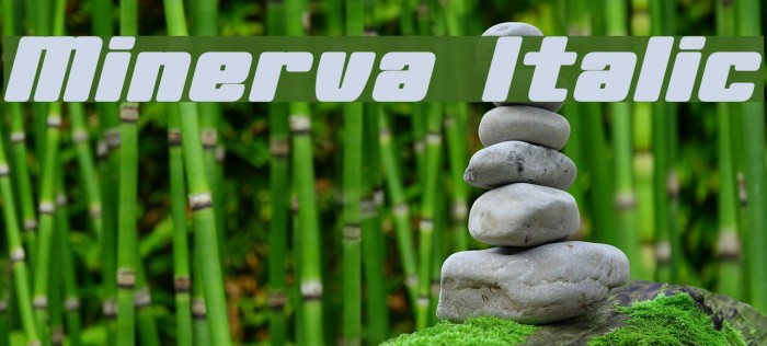 Minerva Italic Font examples