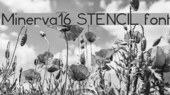 Minerva16 STENCIL font Font examples