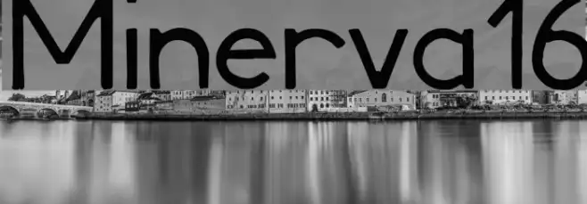 Minerva16 Example 2
