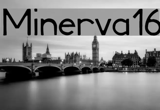 Minerva16 Example 3
