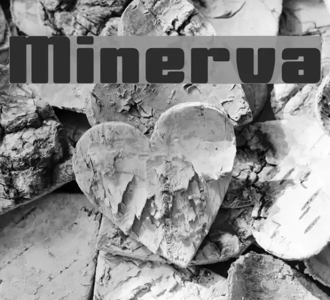 Minerva Font examples