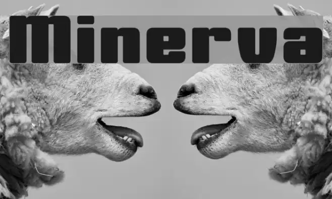 Minerva Font examples