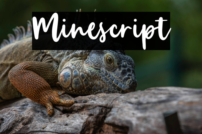 Minescript Example 3