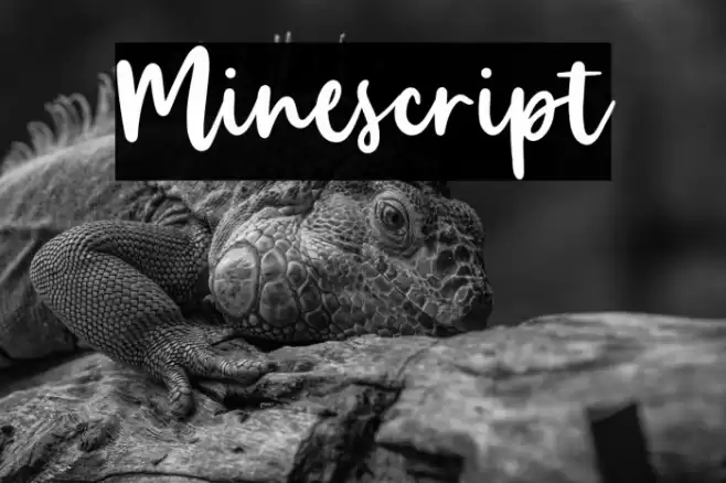 Minescript Font examples