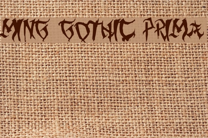 Ming Gothic Prima Font examples