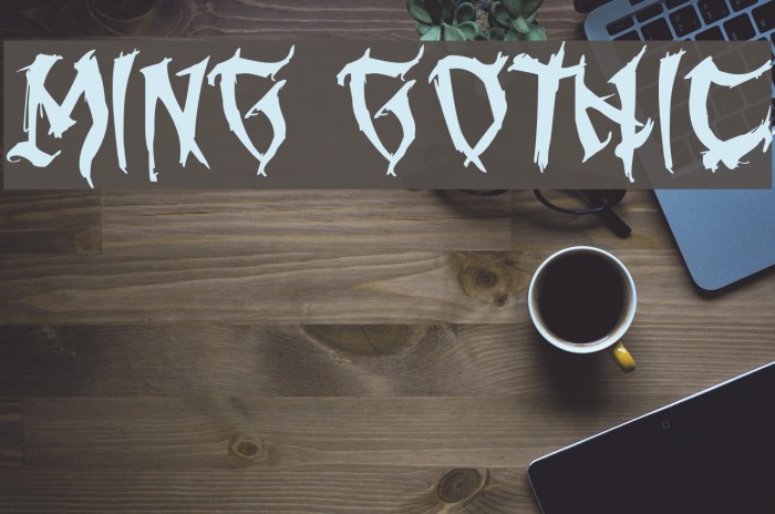 Ming Gothic Font examples