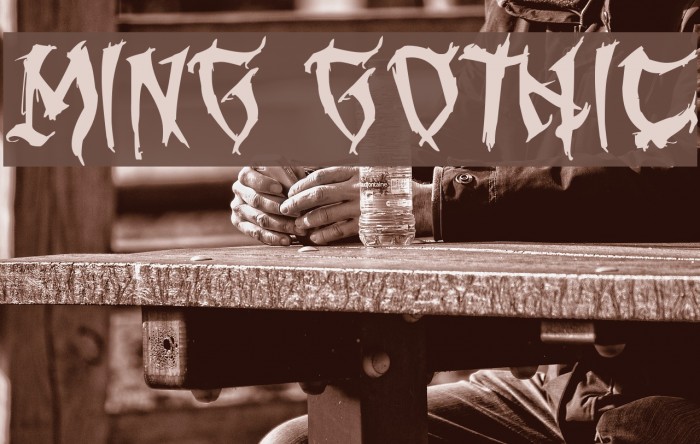 Ming Gothic Font examples