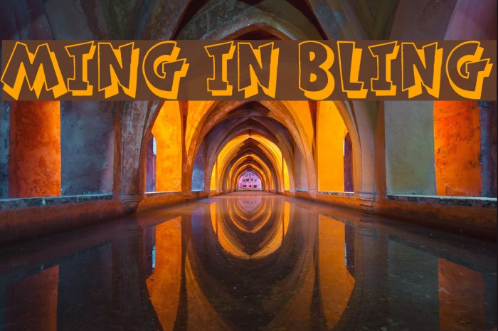 Ming in Bling Example 2