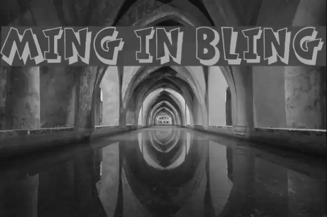 Ming in Bling Font examples