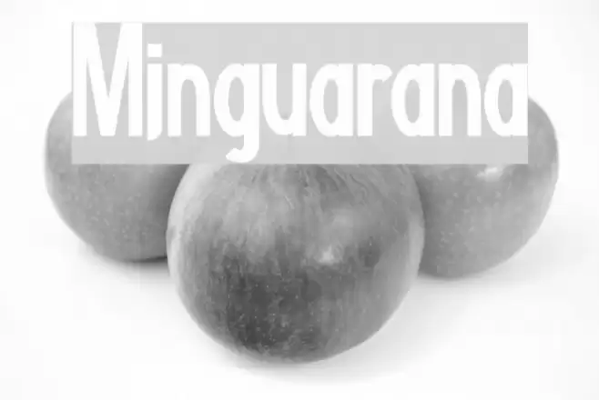Minguarana Font examples