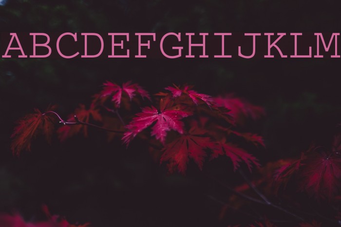 MinhQuân 1.1 Font examples