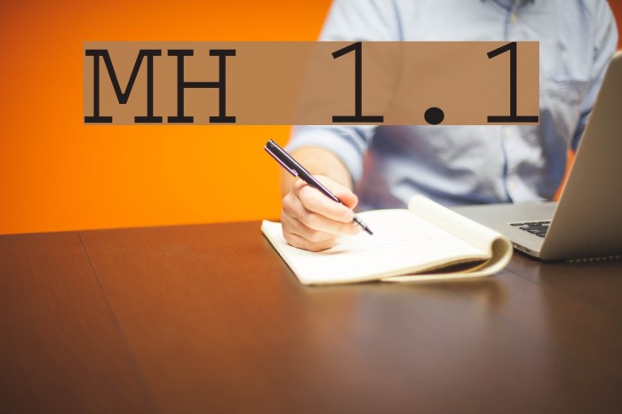 MinhQuânH 1.1 Font examples
