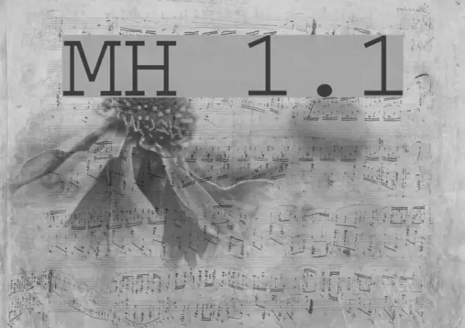 MinhQuânH 1.1 Example 3