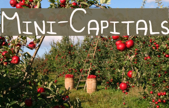 Mini-Capitals फ़ॉन्ट examples