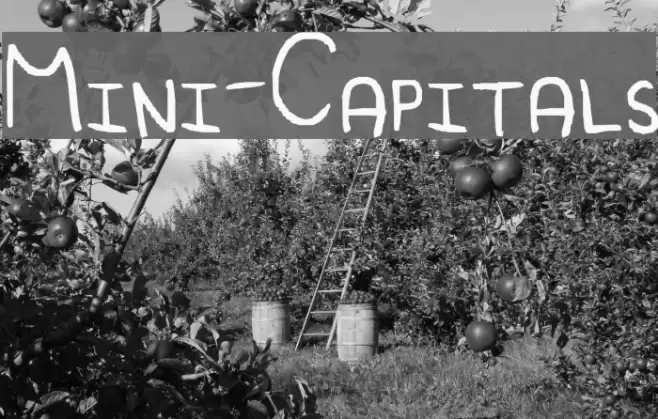 Mini-Capitals फ़ॉन्ट examples